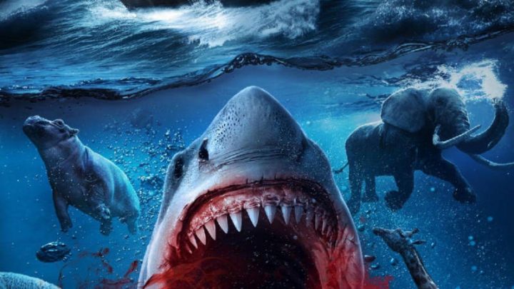 „Noah’s Shark” – czyli Arka Noego okryta pradawną klątwą!