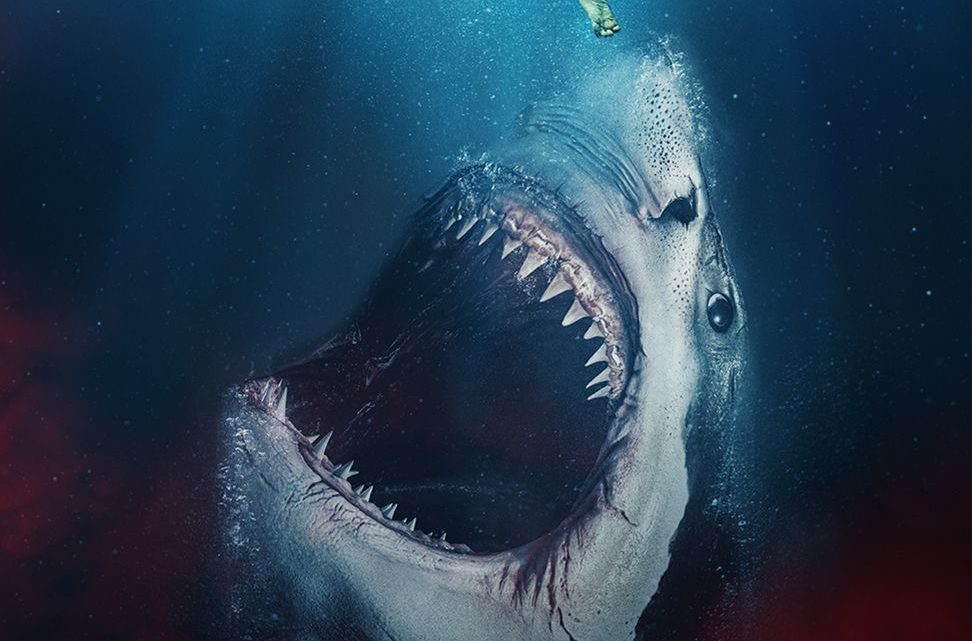 „The Requin” – animal horror z rekinami w roli głównej.